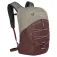 Osprey Quasar backpack
