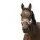 Equitheme Mouton Nylon halster