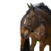 Equitheme Capezza Strass Nylon