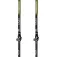 Masters Eiger poles