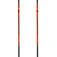 Dynafit Alpine poles