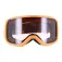 Giro Revolt ski goggles