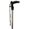 Asolo Bastons Walker QL100