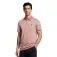 Lyle & scott Microstripe 반팔 폴로 셔츠