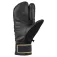 Cairn Chirripoc-Tex Pro 장갑