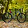 Wolf tooth Corretja B-RAD