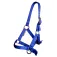 Horka Licol Basic Foal