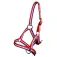 Horka Basic Foal halster