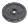 Bodytone Eisen Hantelscheibe 2kg