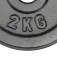 Bodytone Eisen Hantelscheibe 2kg