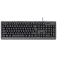 Trust Teclado Primo Português