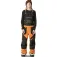 Thirtytwo Basement Bib hosen