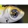 Fox rage Rage Big Eye Blade Vibrationsköder 10g