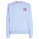 Tommy jeans Reg Essential Flag Ext sweatshirt