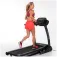 Finnlo Alpine IV treadmill