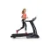 Finnlo Technum IV treadmill