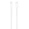 Apple 240W 2 m USB-C线