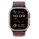 Apple Alpine Loop 49 mm riem