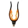 Carp expert Tulipan hengelpod