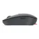 Lenovo Mouse wireless GO Multi-D