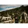 Wiley x Peak polarized sunglasses