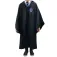 Cinereplicas Crianças da Corvinal Harry Potter