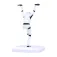 Nemesis now Stormtrooper-Figur Kranichtritt