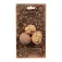 Oli&carol Nutty The Nut teether