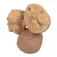 Oli&carol Nutty The Nut teether
