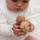 Oli&carol Nutty The Nut teether