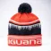 Iguana Gorro Other