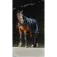 Equitheme Coperta per cavalli Classic 1200D