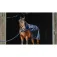 Equitheme Coperta per cavalli Classic 1200D
