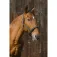 Equitheme Domino Nylon Halfter