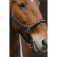 Equitheme Domino Nylon Halfter