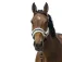 Equitheme Mouton Nylon halter