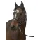 Equitheme Nylon Light halter