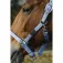 Equitheme Spring Nylon Χαλινάρι