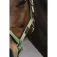 Equitheme Spring Nylon halster