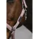 Equitheme Spring Nylon halter