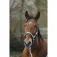 Equitheme Spring Nylon 頭絡