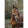 Equitheme Spring Nylon halter