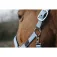 Equitheme Spring Nylon Χαλινάρι