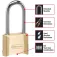 Master lock Messing Lang bue hængelås