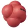 Wilson Grote Reactie Bal