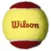 Wilson Starter 테니스 공