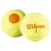 Wilson Starter Tennispalloja