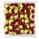 Wilson Pilotes de tenis Starter 36 unitats