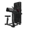 Bodytone FD03 Biceps & Triceps machine