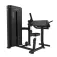 Bodytone FD03 Biceps & Triceps machine